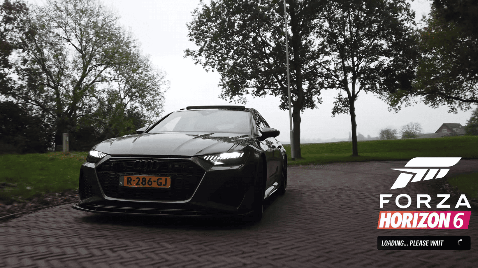 Forza Horizon 6 | Audi RS6 C8